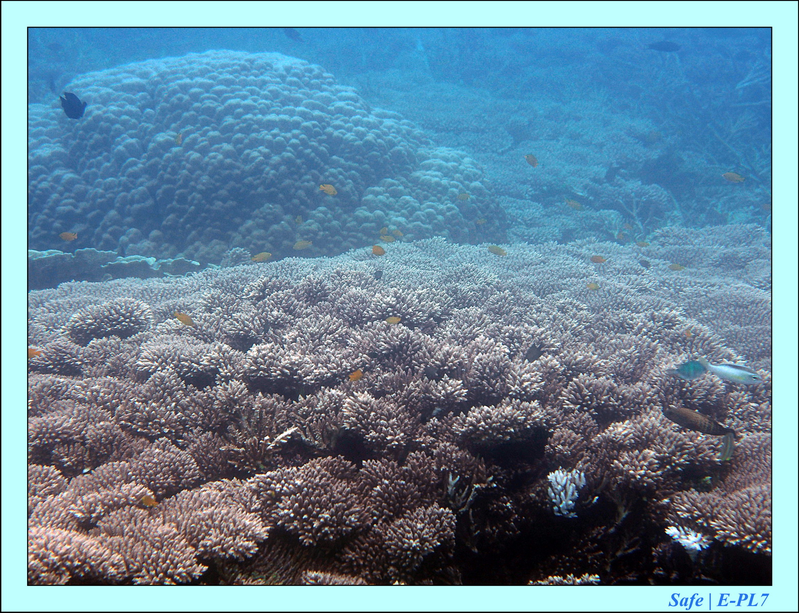 2016 - 07 - Leng Tengah - 026